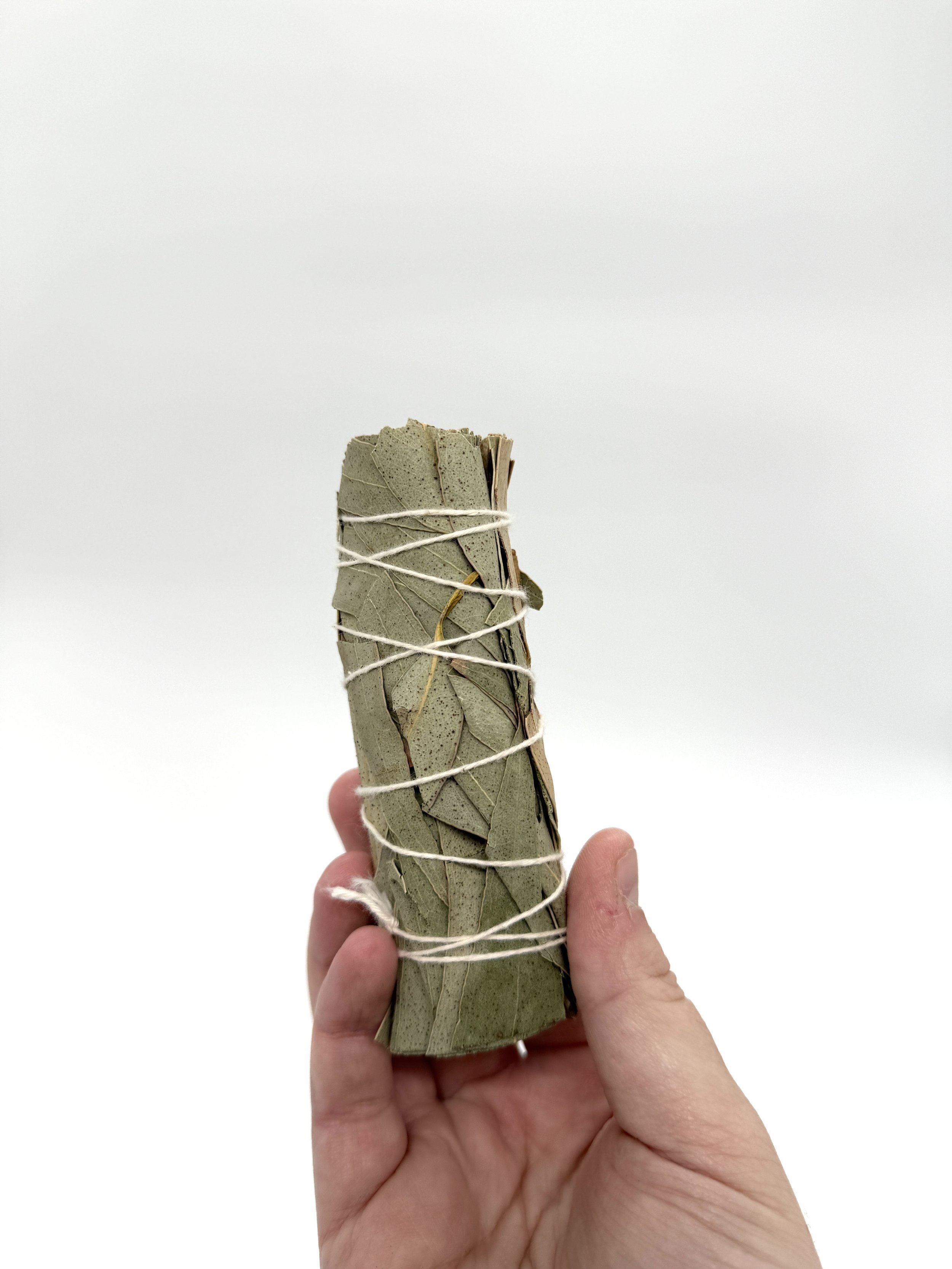 eucalyptus sage again.jpg
