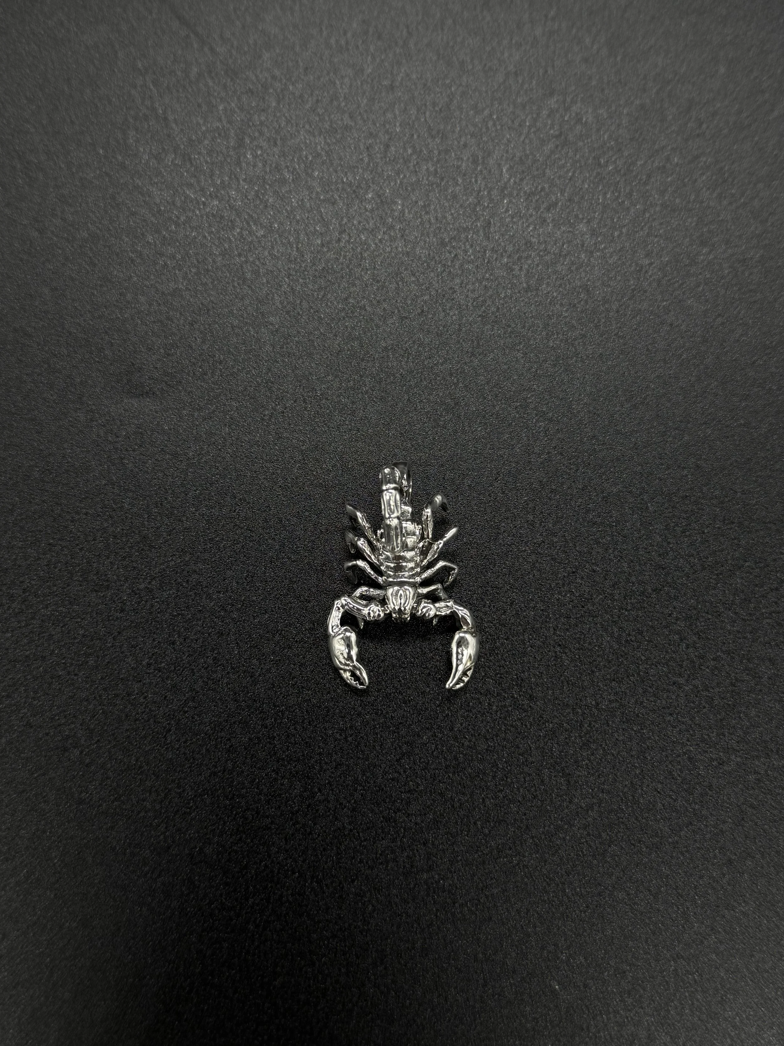 silver scorpion 3.jpg
