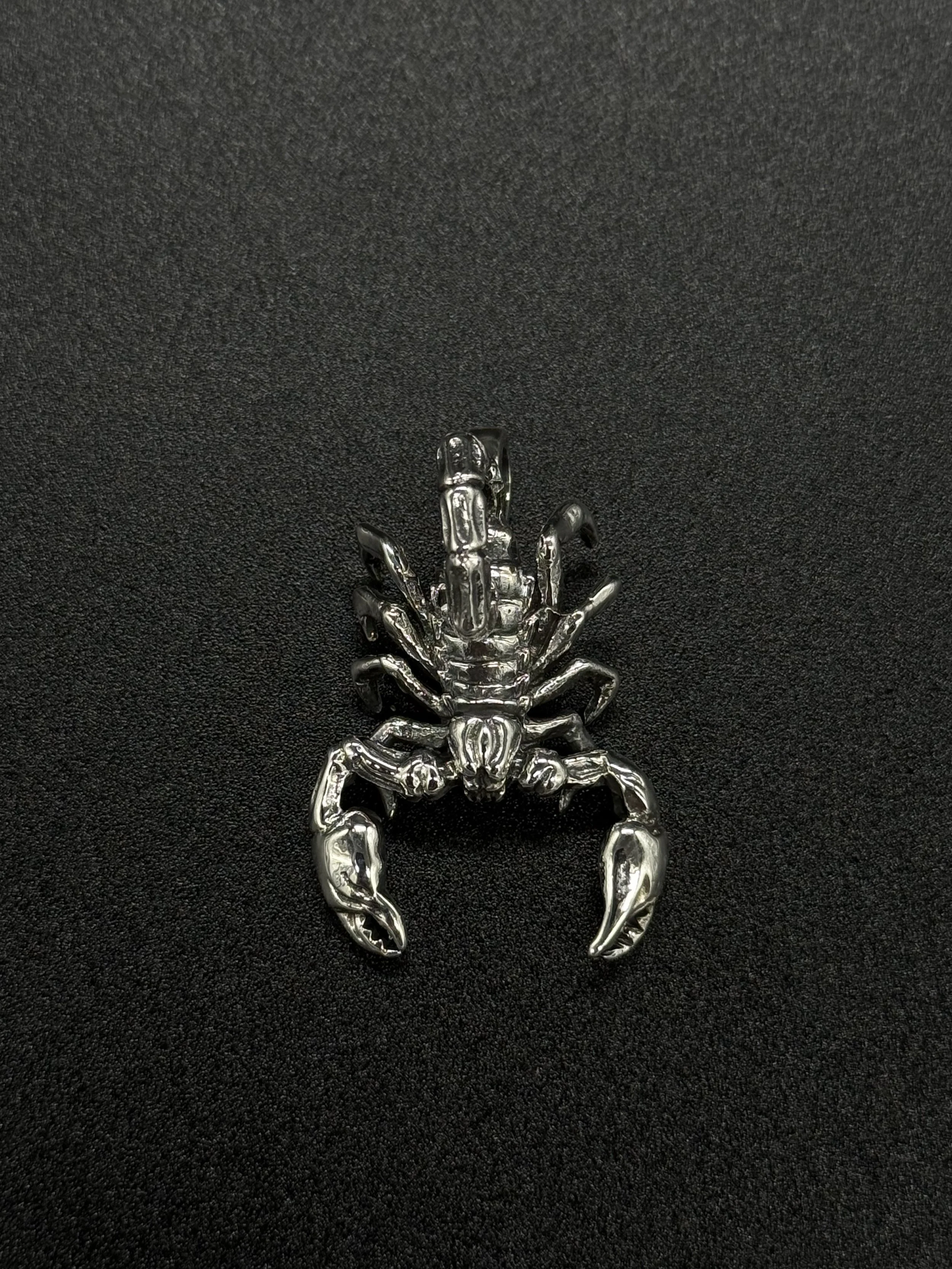 silver scorpion 1.jpg