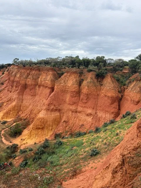 Murray River Trails
