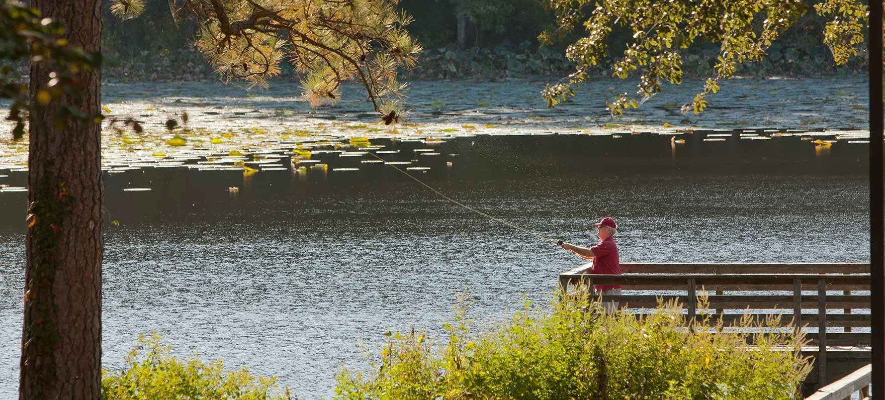 A person fishing off a wooden dock on a lake during the daytime, surrounded by trees and lily pads on the water.
