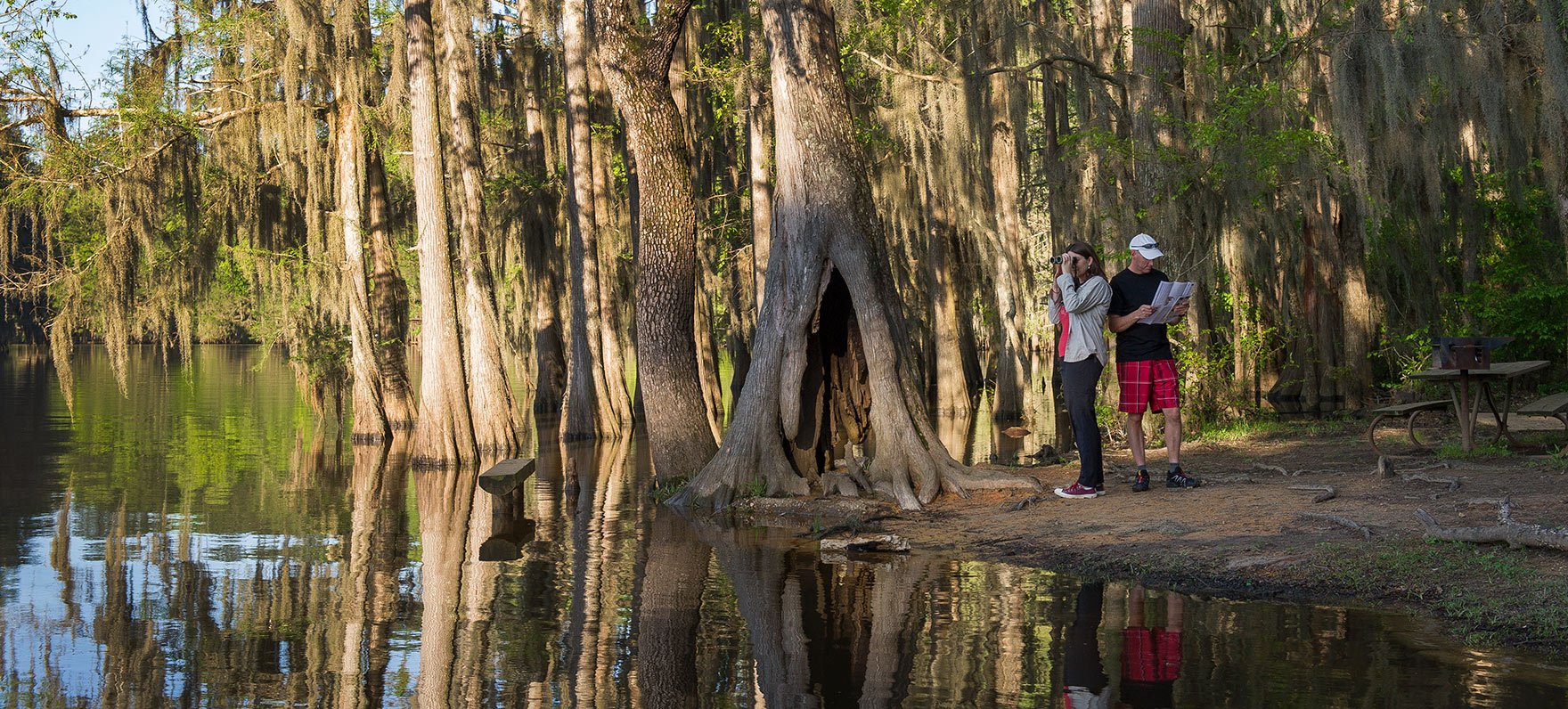 CADDO-LAKE_4587.jpg