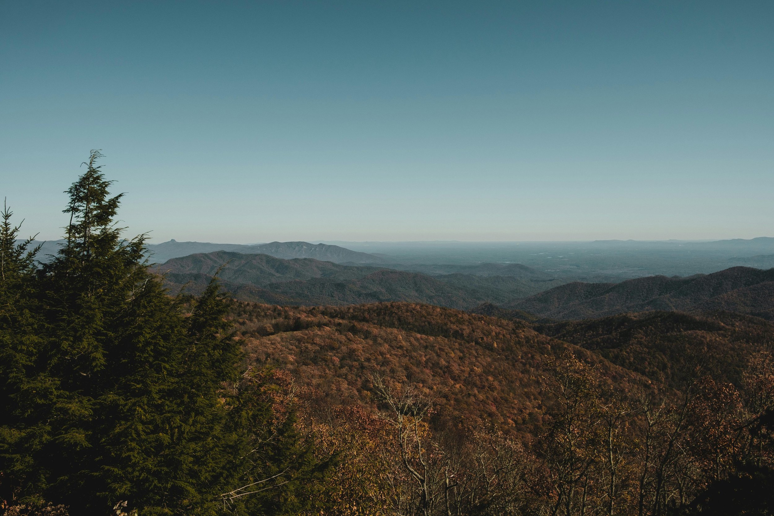 pexels-airamdphoto-8657081.jpg