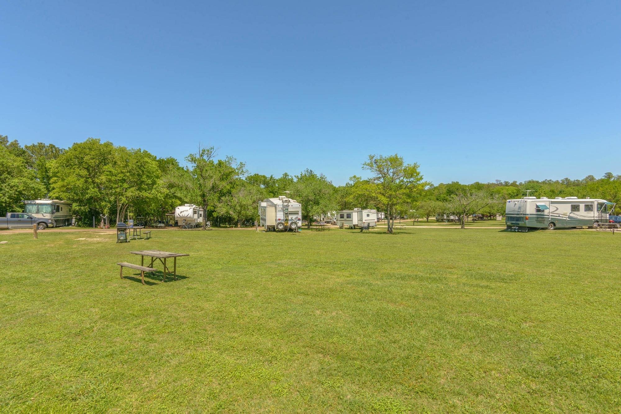 Open grassy field with picnic table, trash can, and several recreational vehicles and trailers parked among trees under a clear blue sky.