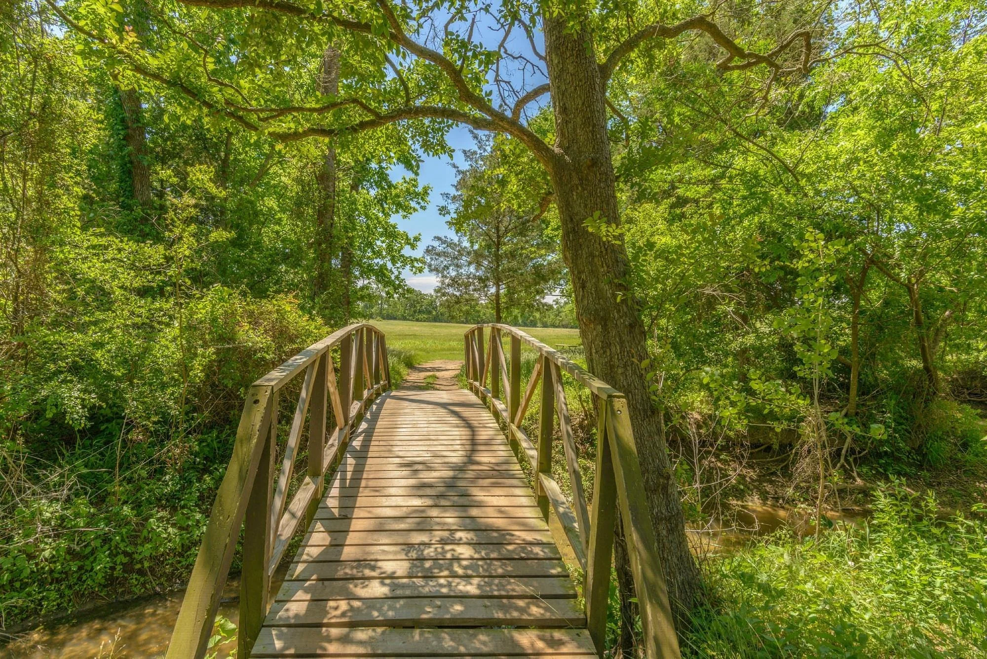 A small wooden footbridge over a creek surrounded by lush green trees and grass under a bright blue sky.