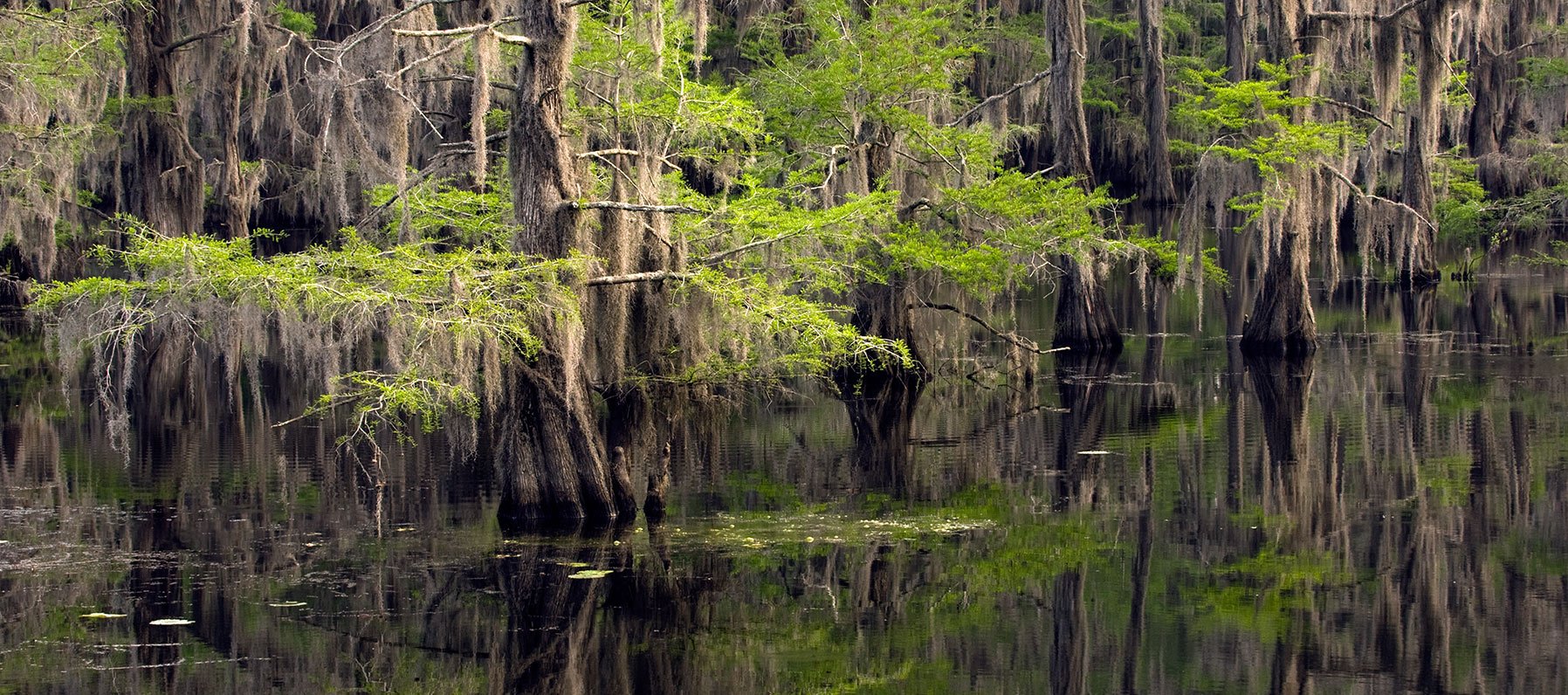 Caddo-Lake_0034.jpg