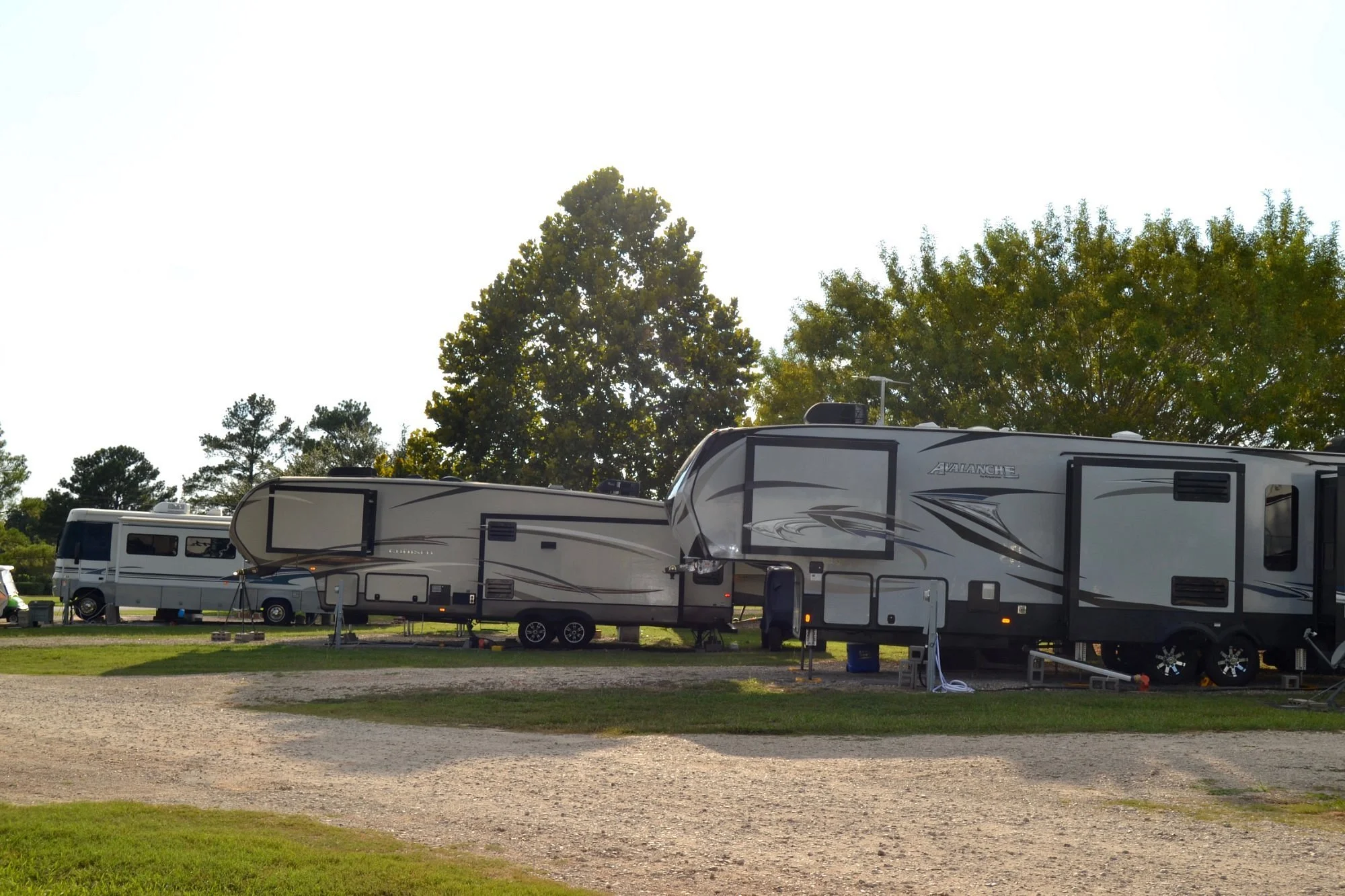 Two large modern recreational vehicles (RVs) parked on a grassy area with trees in the background, under a clear sky.