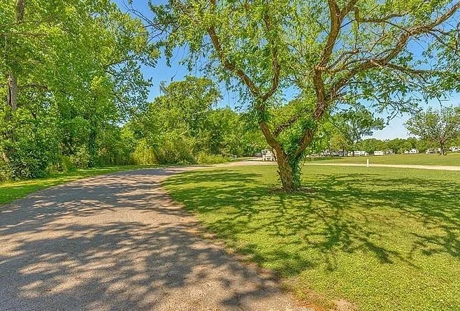 A gravel pathway winding through a grassy park with a large leafy tree, green trees in the background, and a clear blue sky.