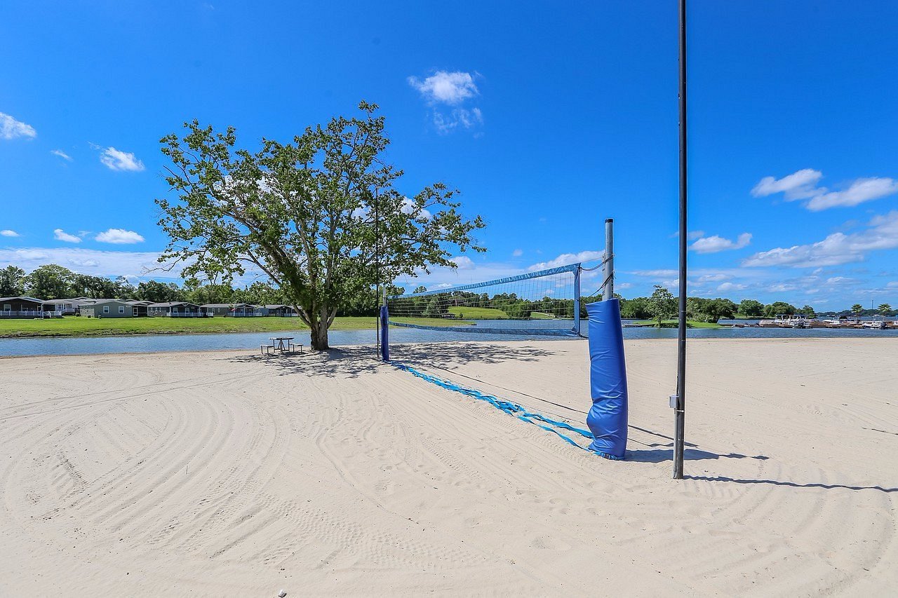 A sandy beach volleyball court with a net and a single tree, near a body of water under a blue sky with scattered clouds.