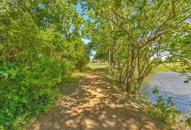 A dirt pathway running alongside a body of water, surrounded by lush green trees and bushes on a sunny day.