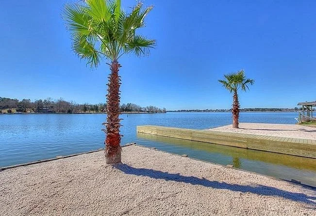 A lakeside scene with sandy beach, two palm trees, and a wooden dock on a sunny day with a bright blue sky.