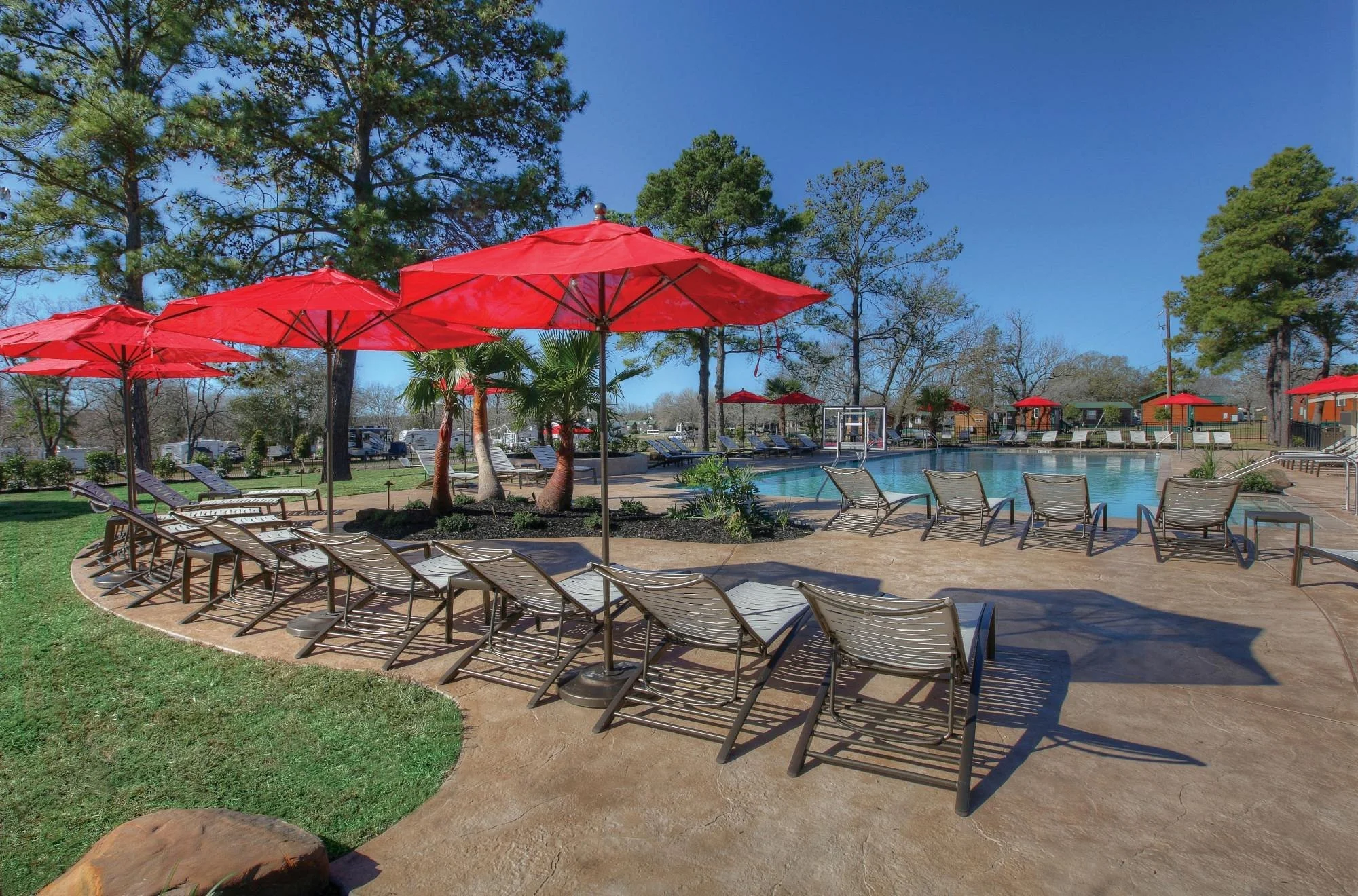 Empty swimming pool area with lounge chairs and red umbrellas on a sunny day, surrounded by trees and a grassy area.