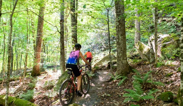 Two people mountain biking on a trail through a forest with green leaves and trees.