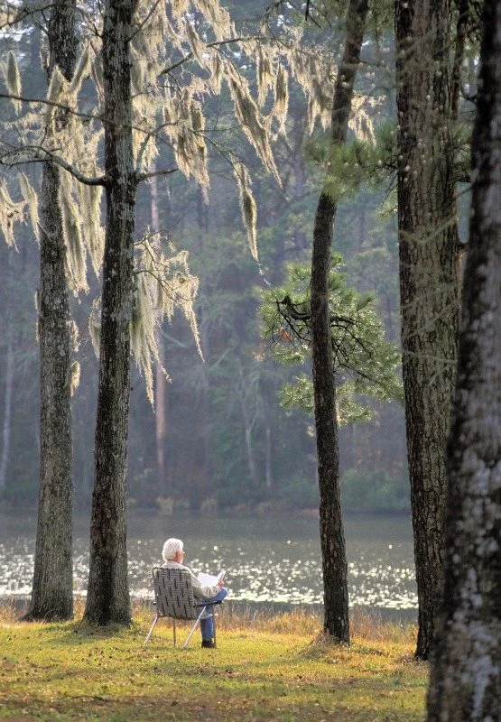 An elderly person sitting in a lawn chair by a lake in a forested area, reading a book with tall trees and moss hanging from branches.