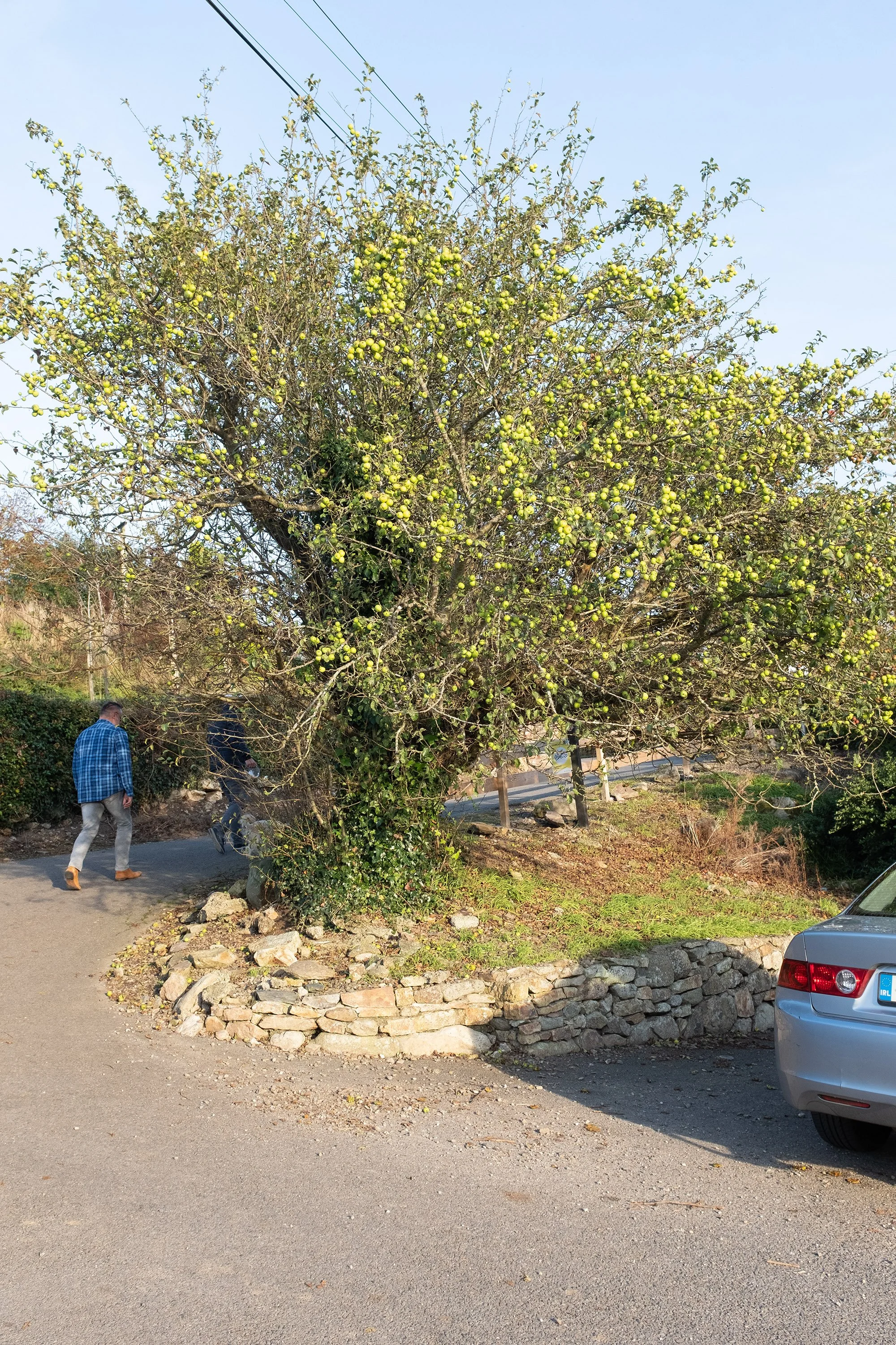 tara-hill-achivements-15.jpg