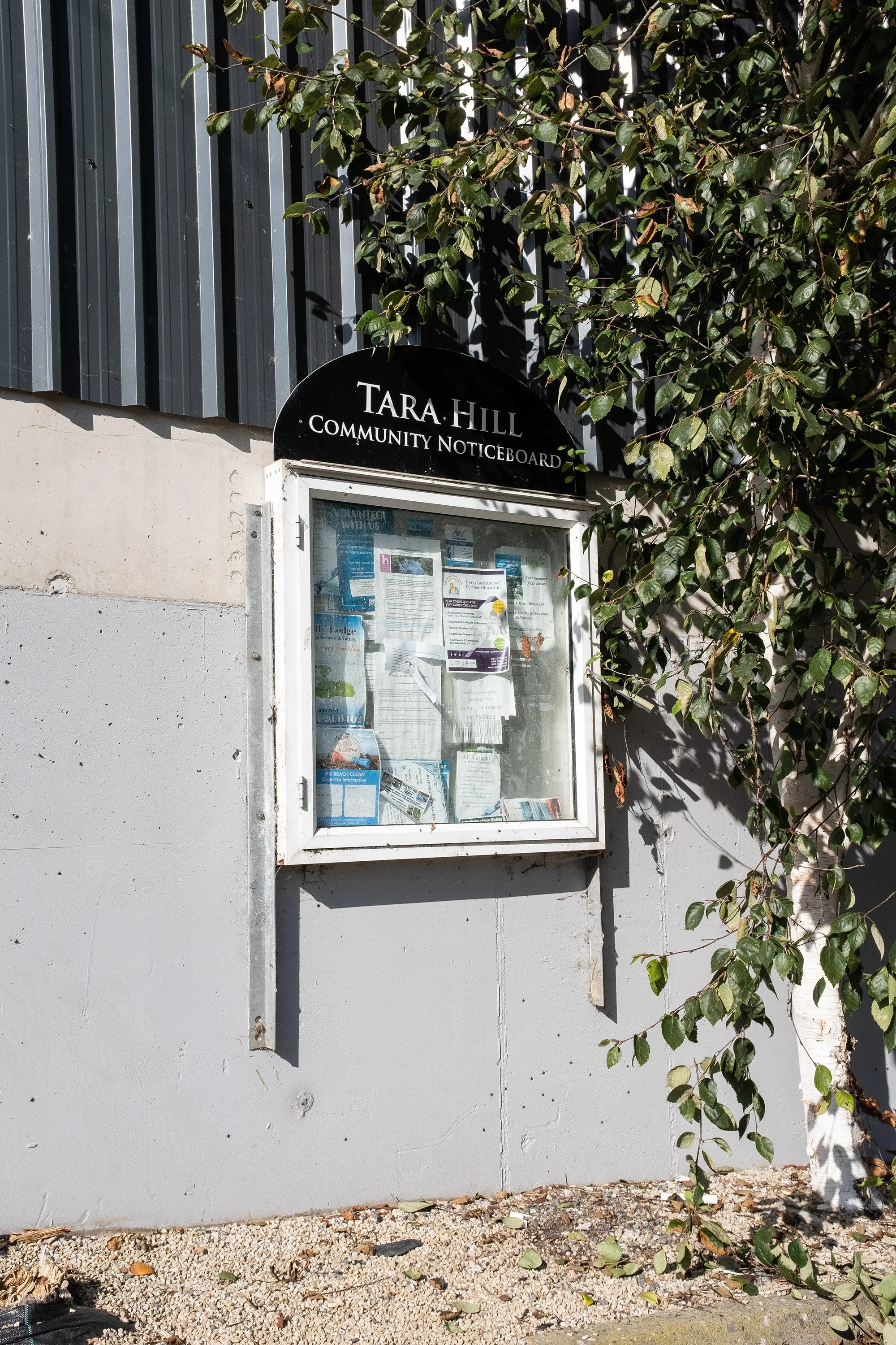 tara-hill-achivements-13.jpg