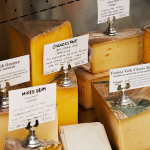 Cheese At Home Bundle (DIY)