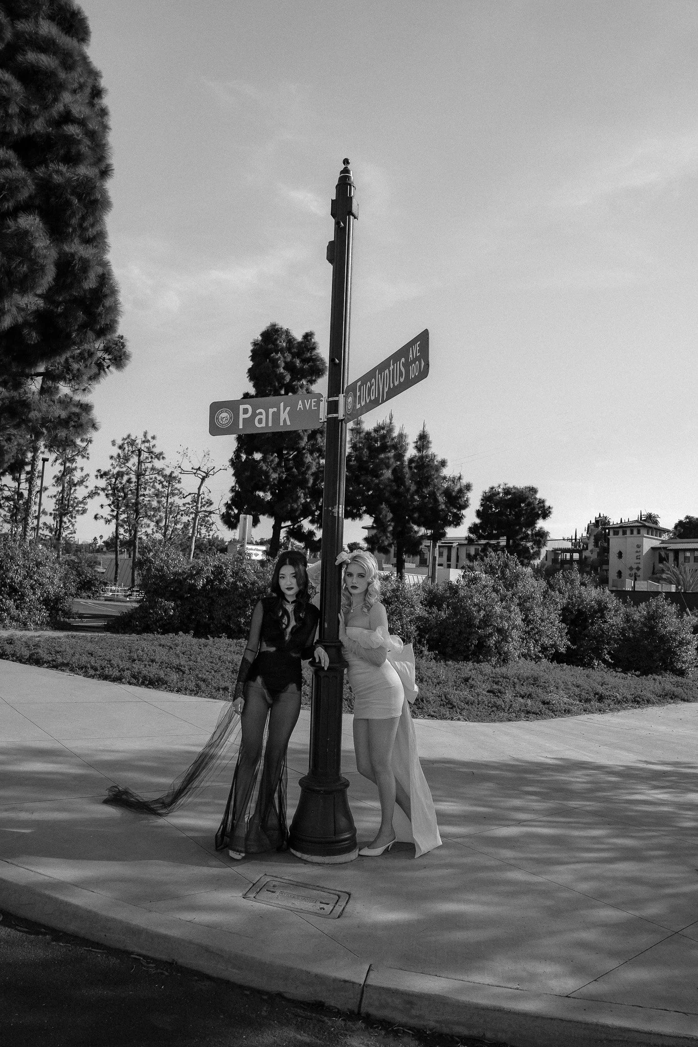 DSC02778-Edit.jpg