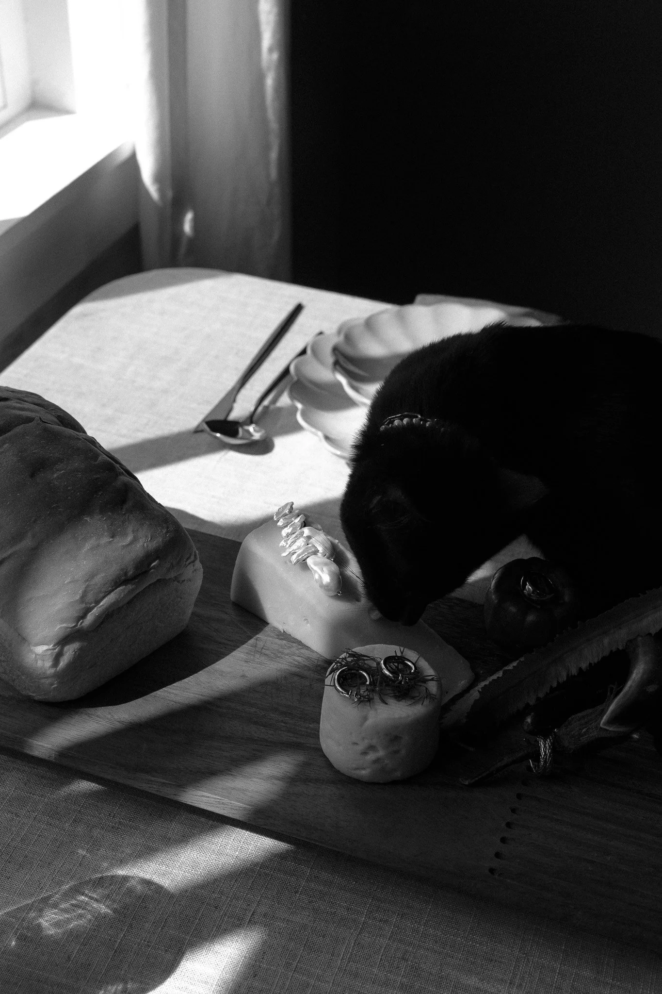 DSC01419-Edit.jpg