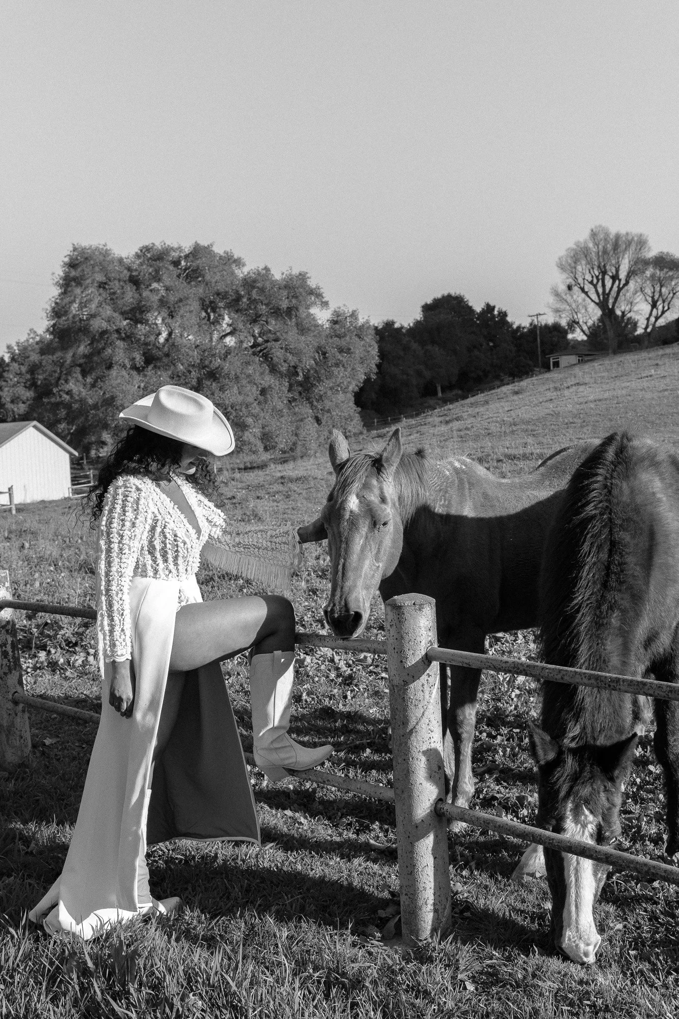 DSC07523.jpg