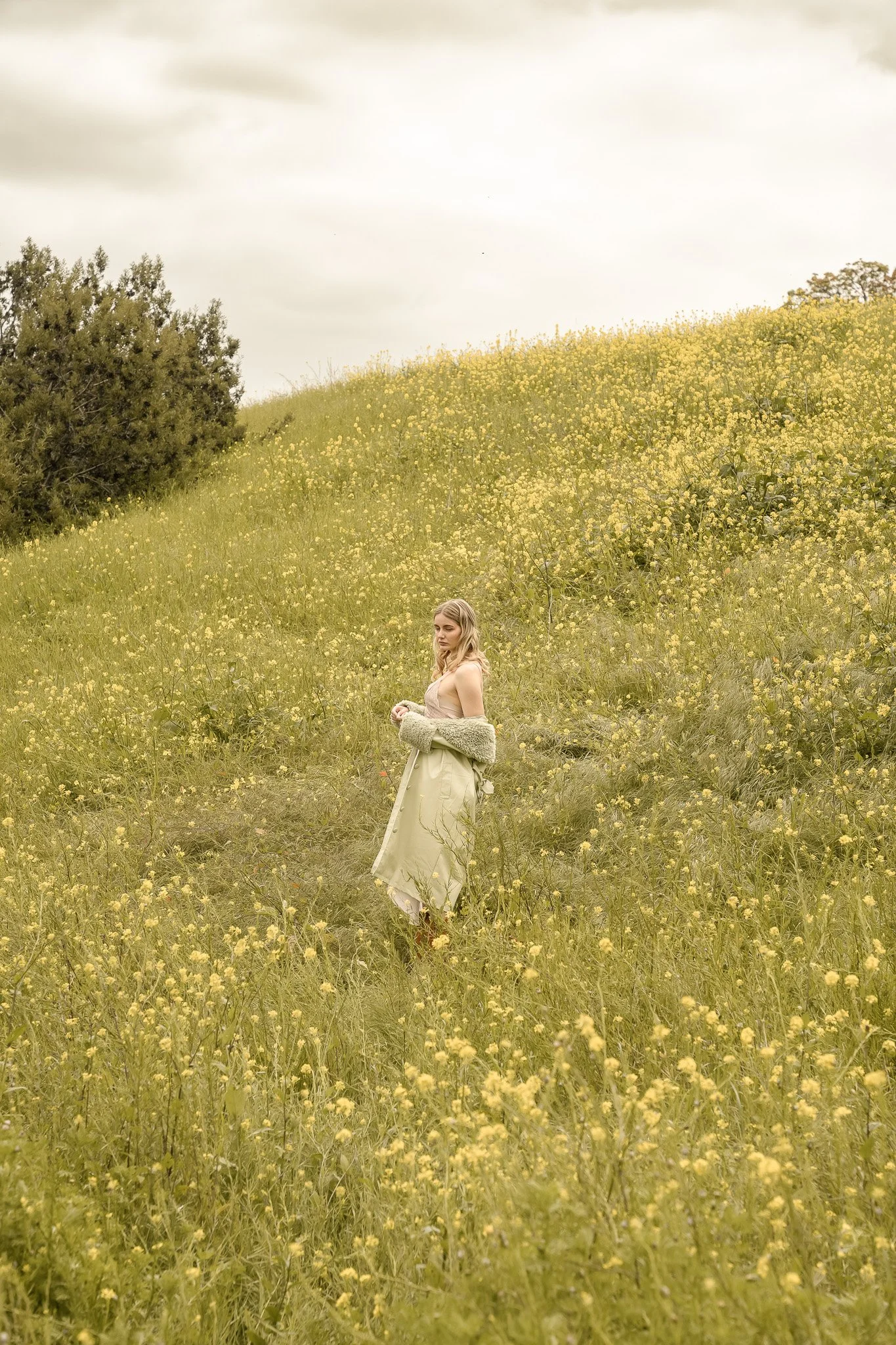 Person in a field of yellow flowers on a hillside with trees and cloudy sky.