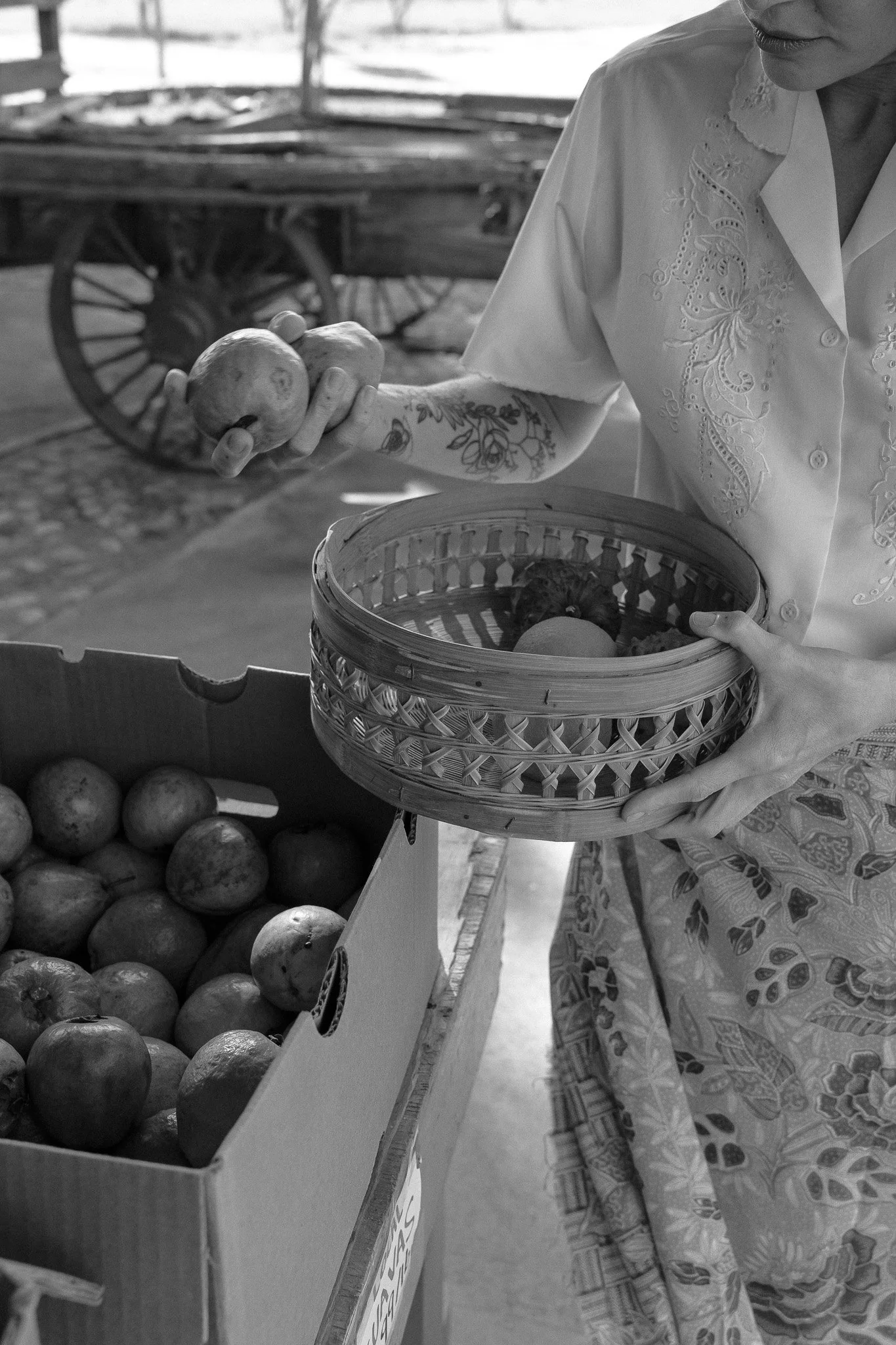 DSC04993-Edit.jpg