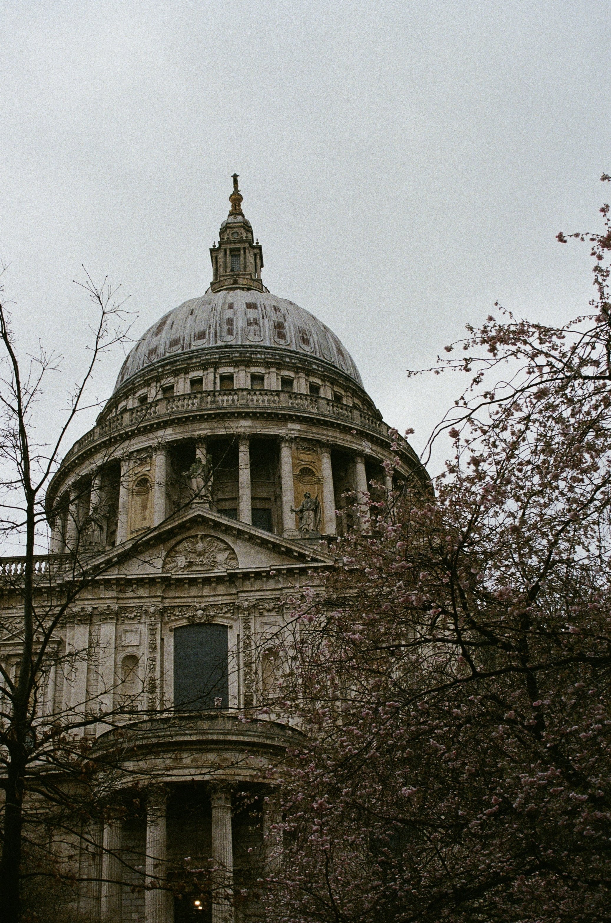 IMG_8724.jpeg