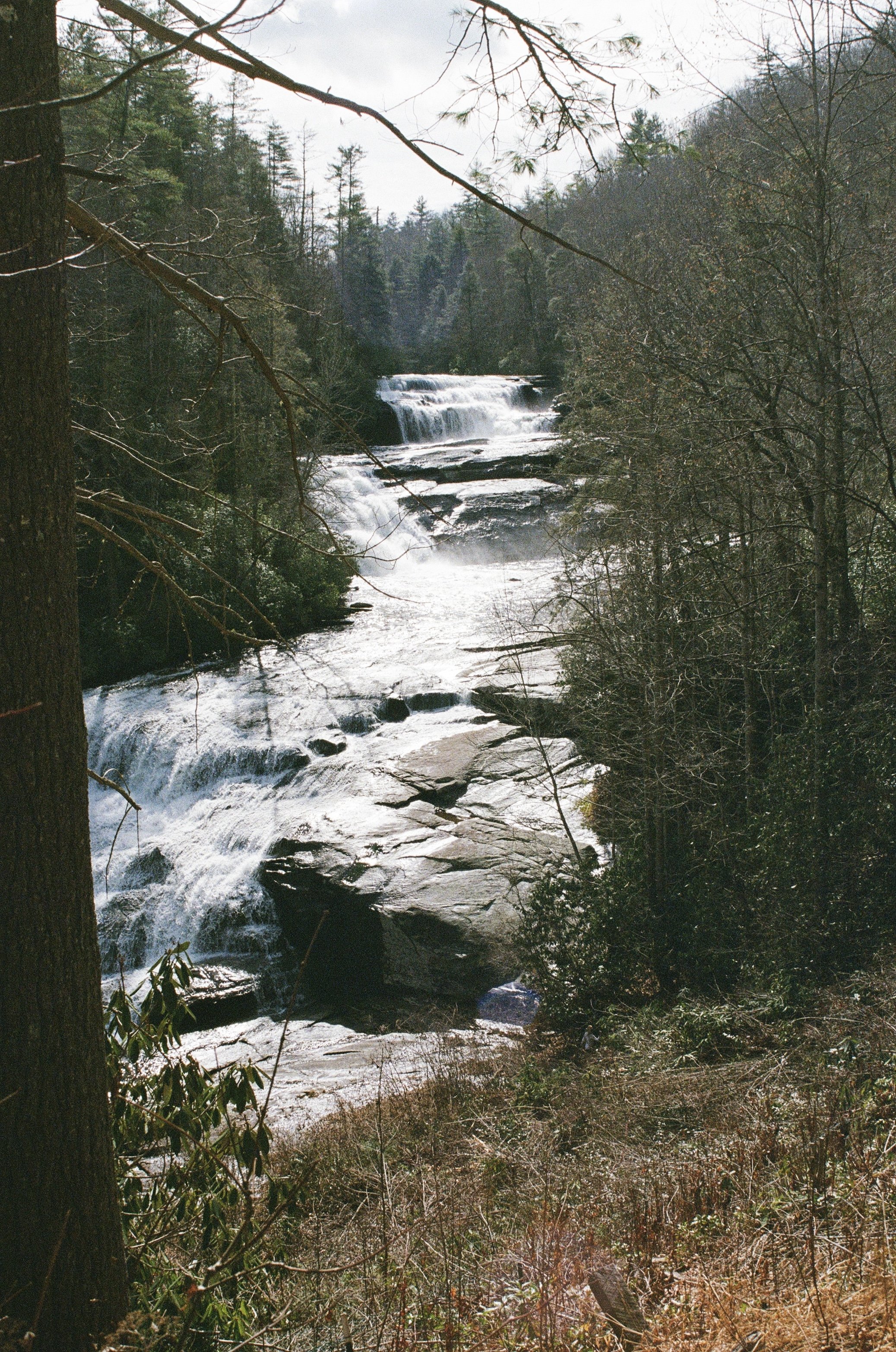 IMG_8727.jpeg