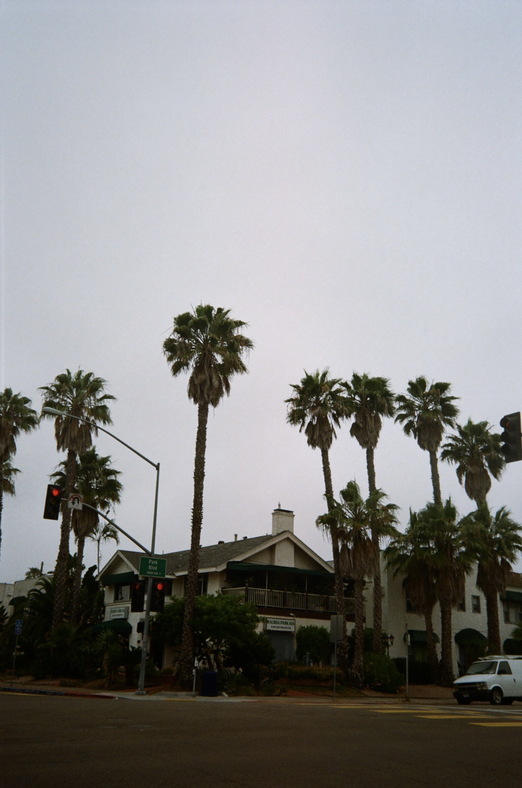 IMG_0787.jpeg