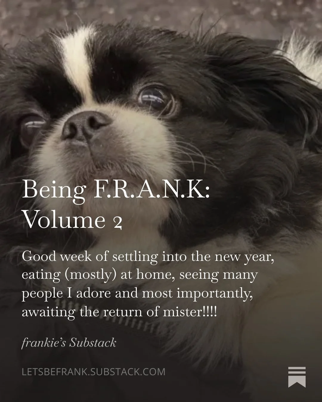 Being F.R.A.N.K Volume 2