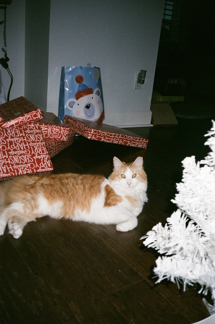 8A5F2AD7-DD7B-4F14-B833-AF2F1E2298E1_1_105_c.jpeg