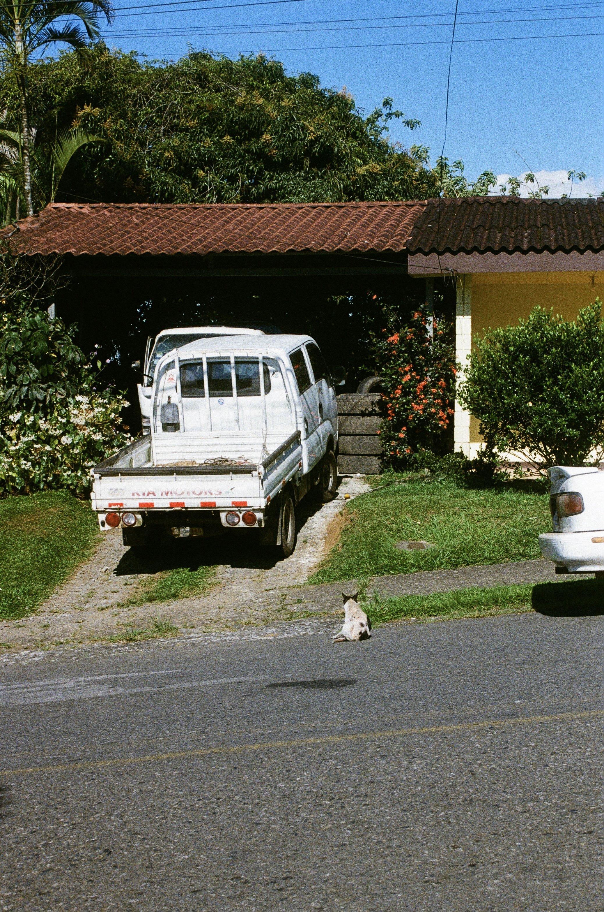 IMG_9234.jpeg