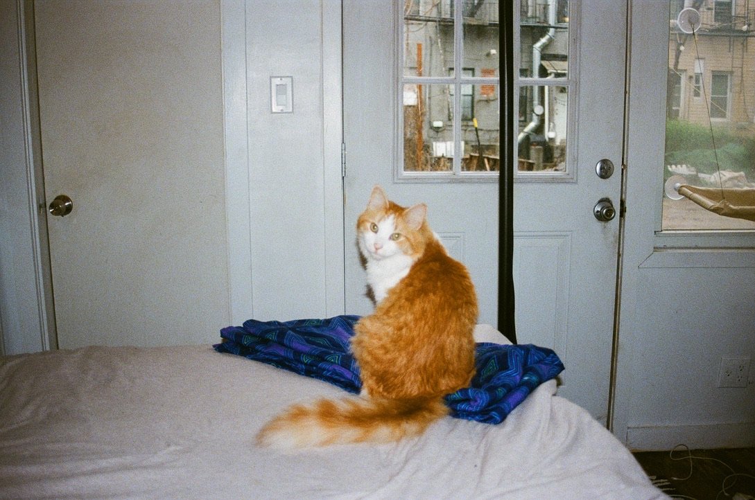 D30CEDD8-21E3-4D0B-BAC2-F0A146D93308_1_105_c.jpeg