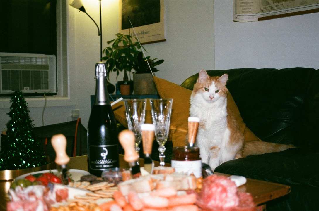 517E88C8-BA6A-477E-A0DA-9F0D5226DED8_1_105_c.jpeg