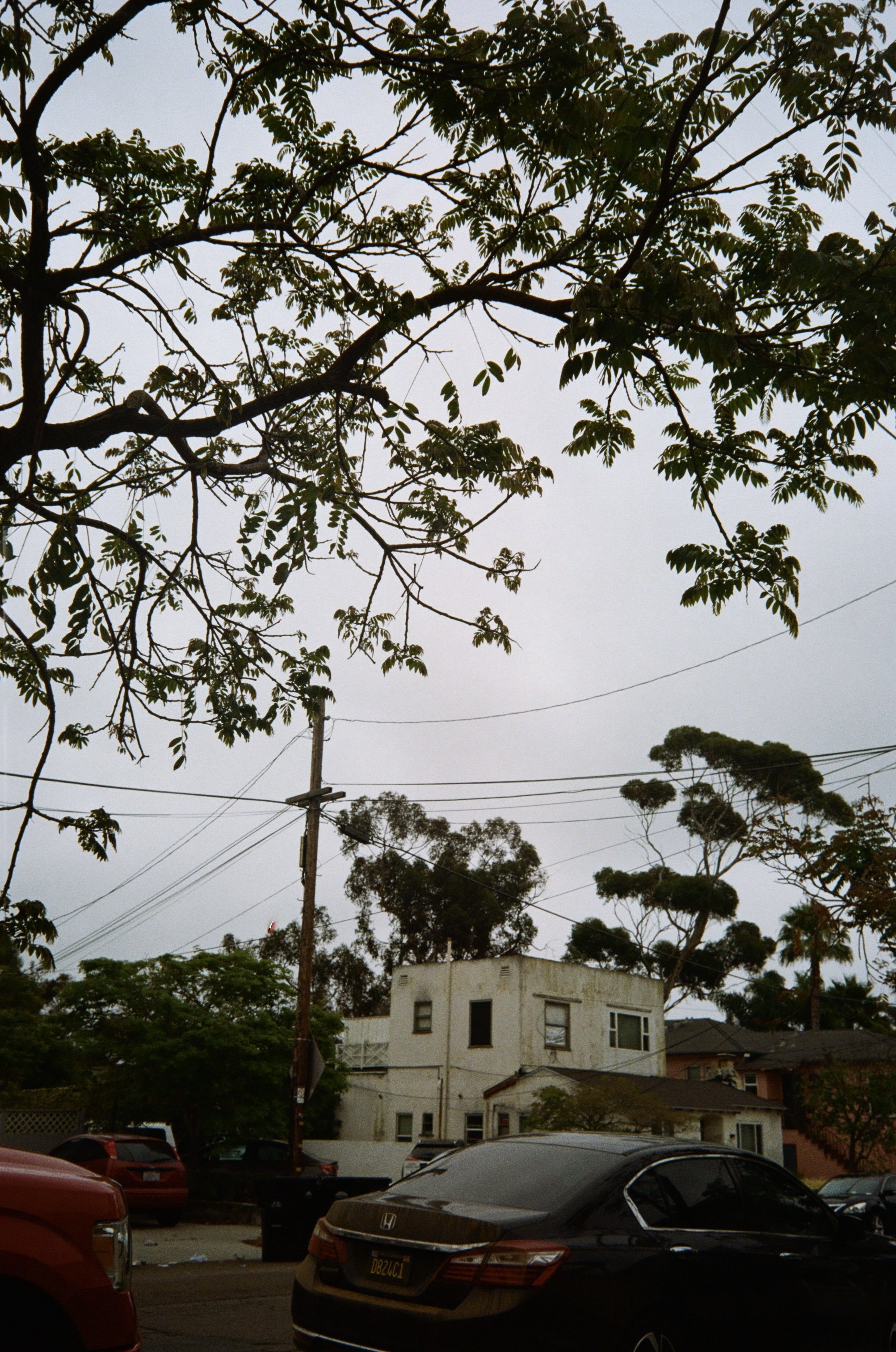 IMG_0805.jpeg