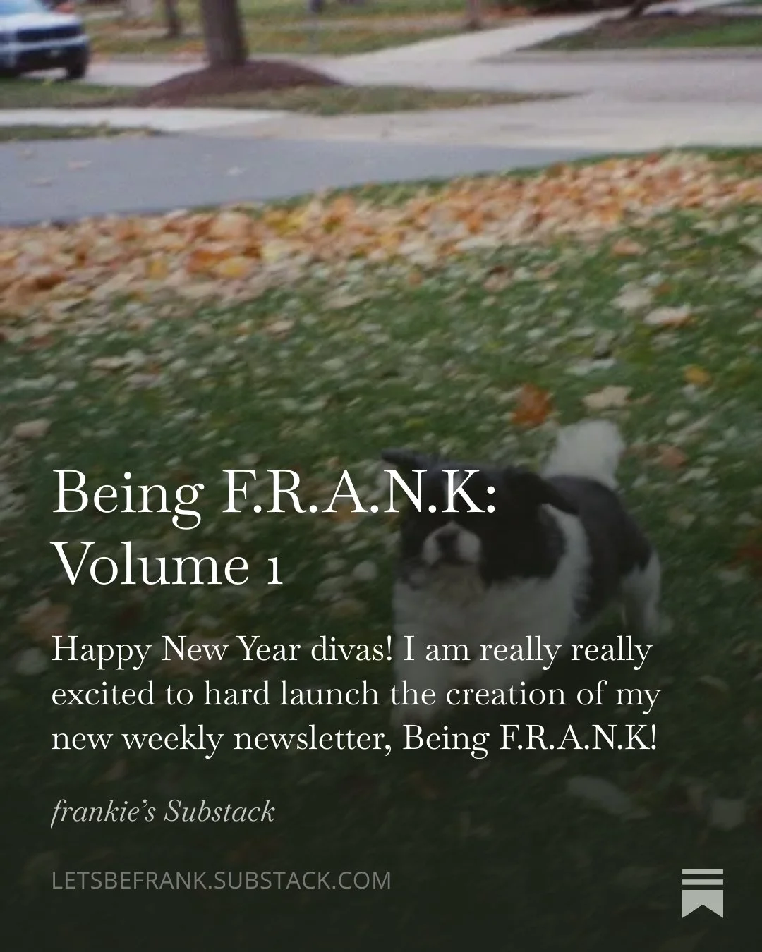 Being F.R.A.N.K Volume 1
