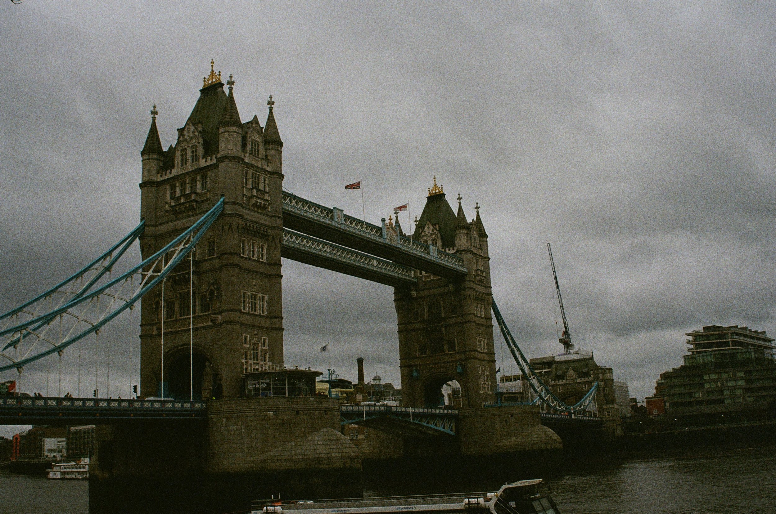 IMG_8733.jpeg