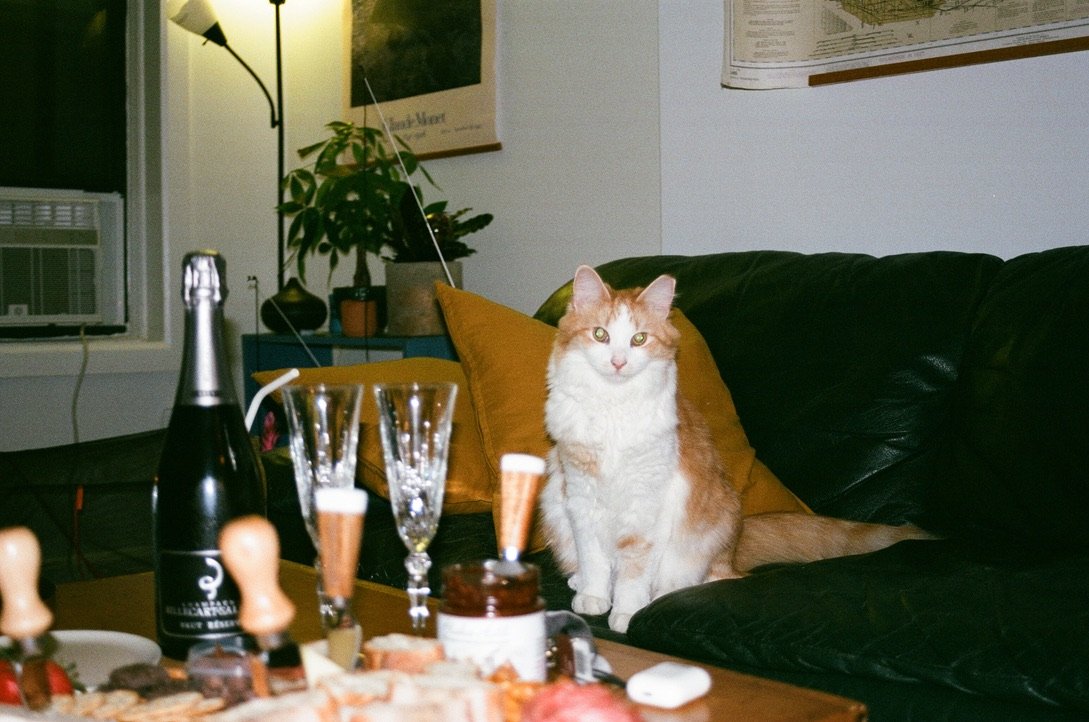 D838A4A8-BA6A-4DA5-BF01-148327FB9BD7_1_105_c.jpeg