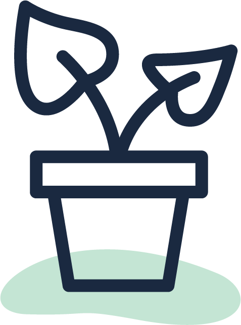 Outline drawing of a plant on a light green oval background.