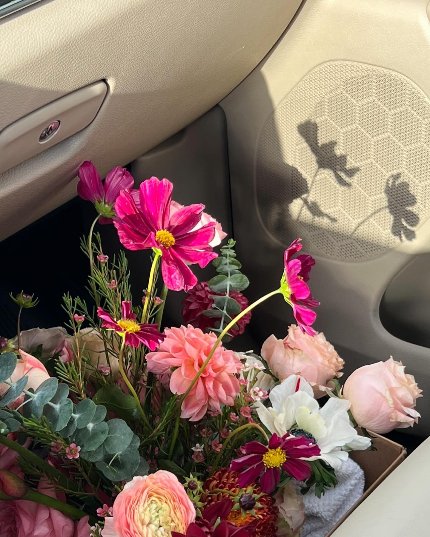 Precious cargo from @bowerbirdflowers 🌸