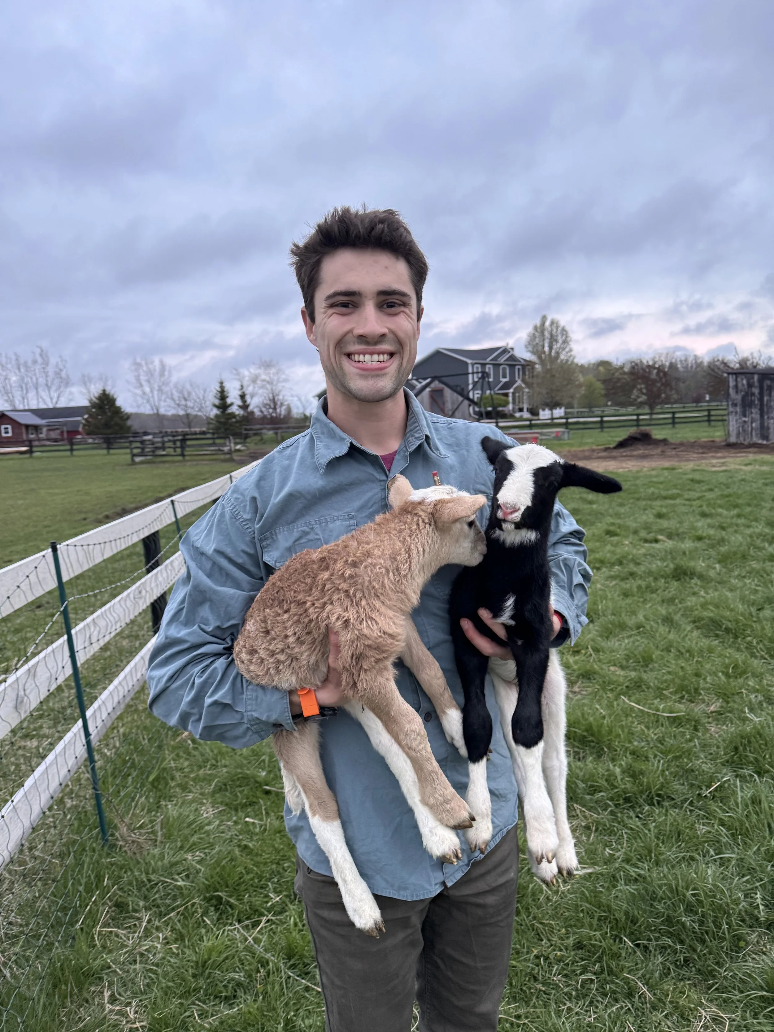 Ty holding two newborn lambs, just hours old. Moments like these capture the heart of Flying Dutchman Farm—where every animal is raised with care and respect from their very first breath.