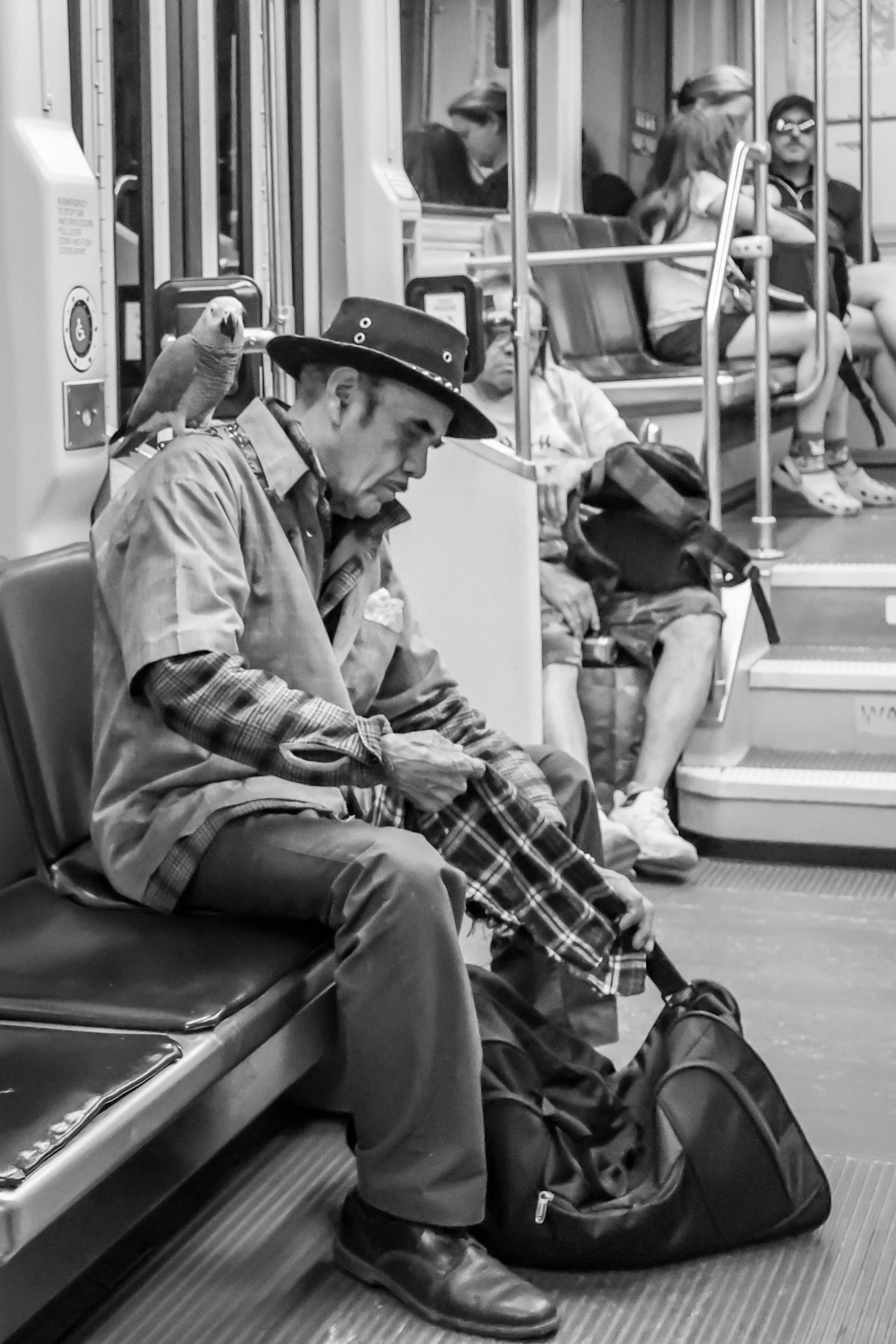 It took me a minute to notice the bird on this gentleman's shoulder