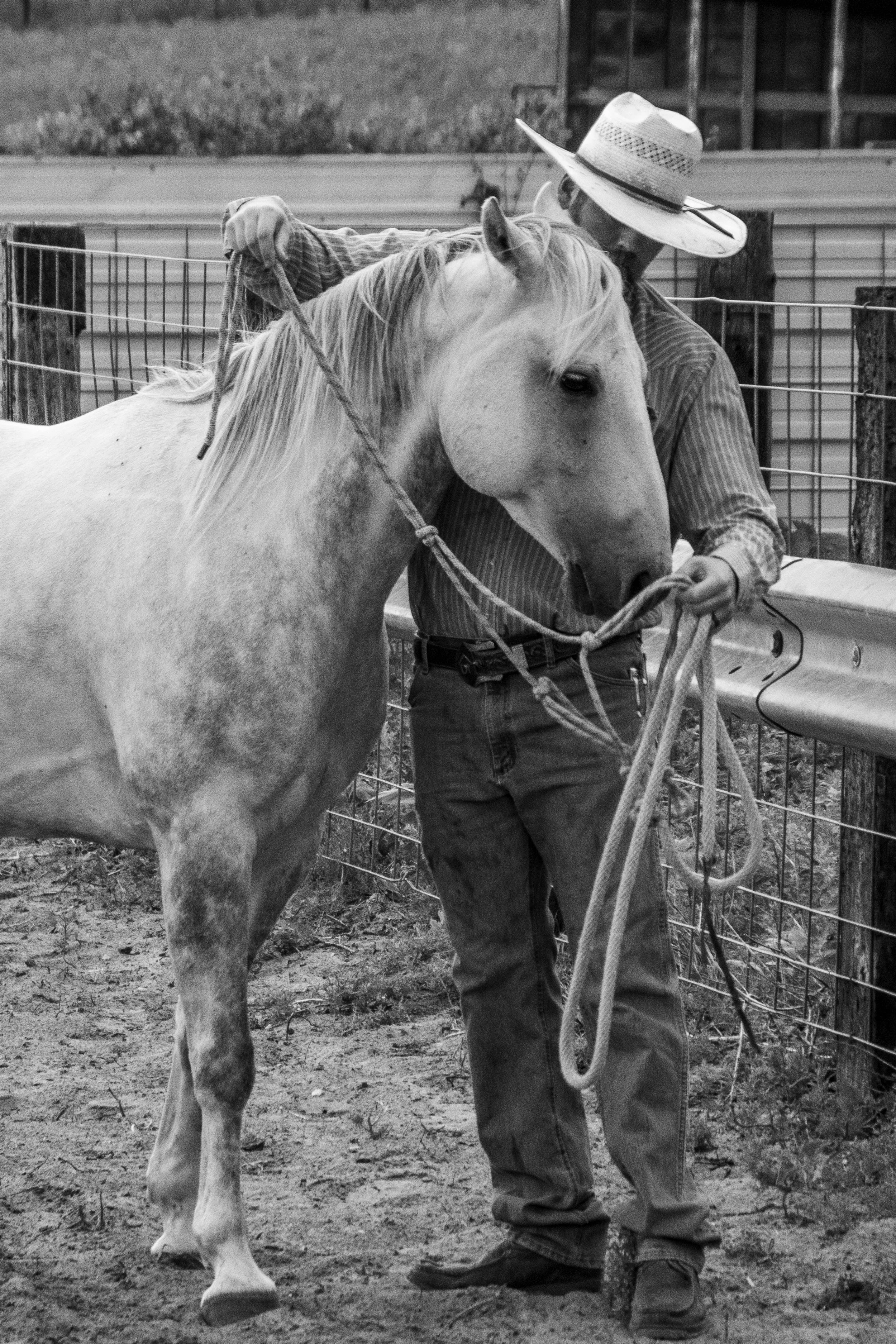 Saddling up to round up some cattle in the Nebraska Sandhills