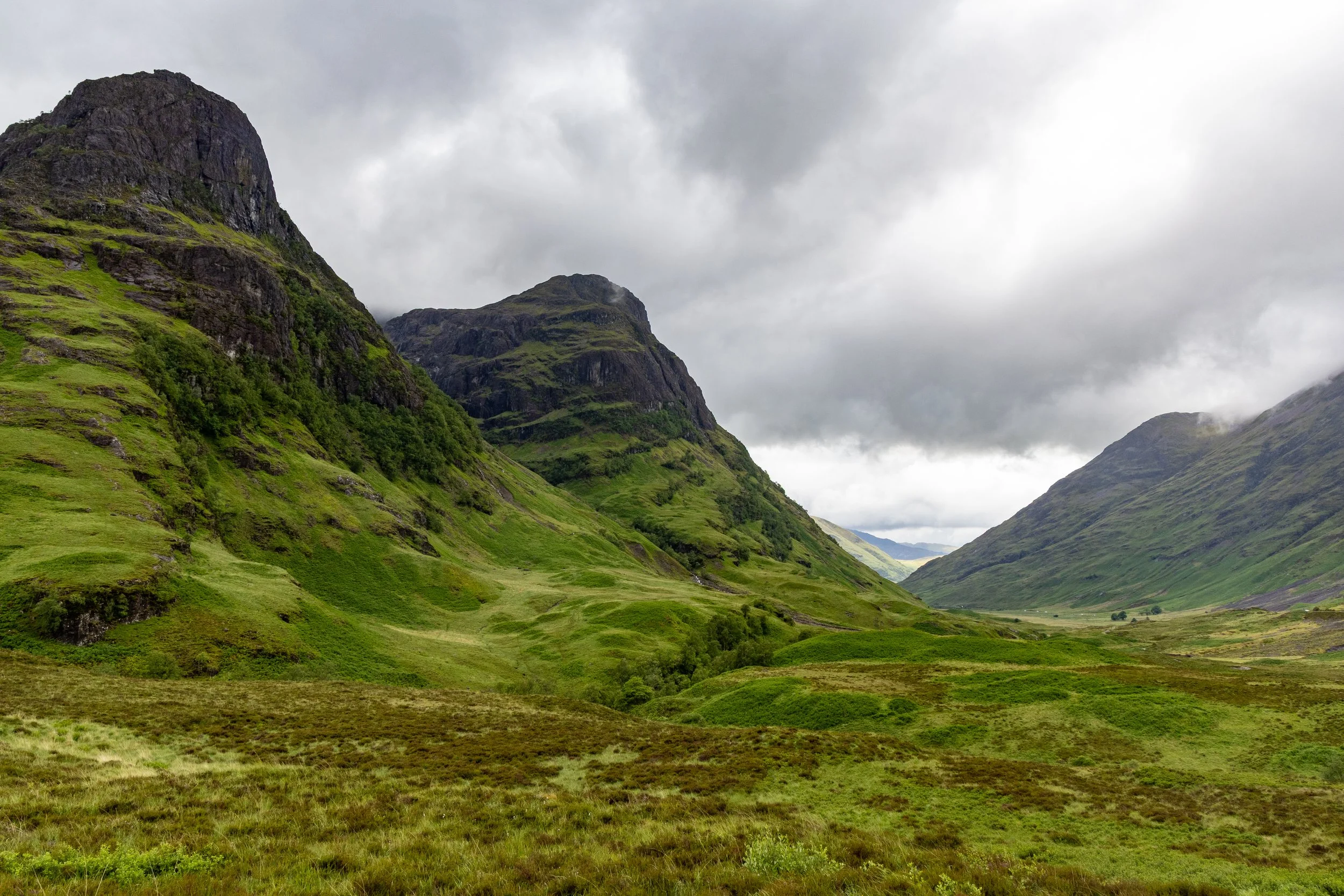 IMG_3435.jpg