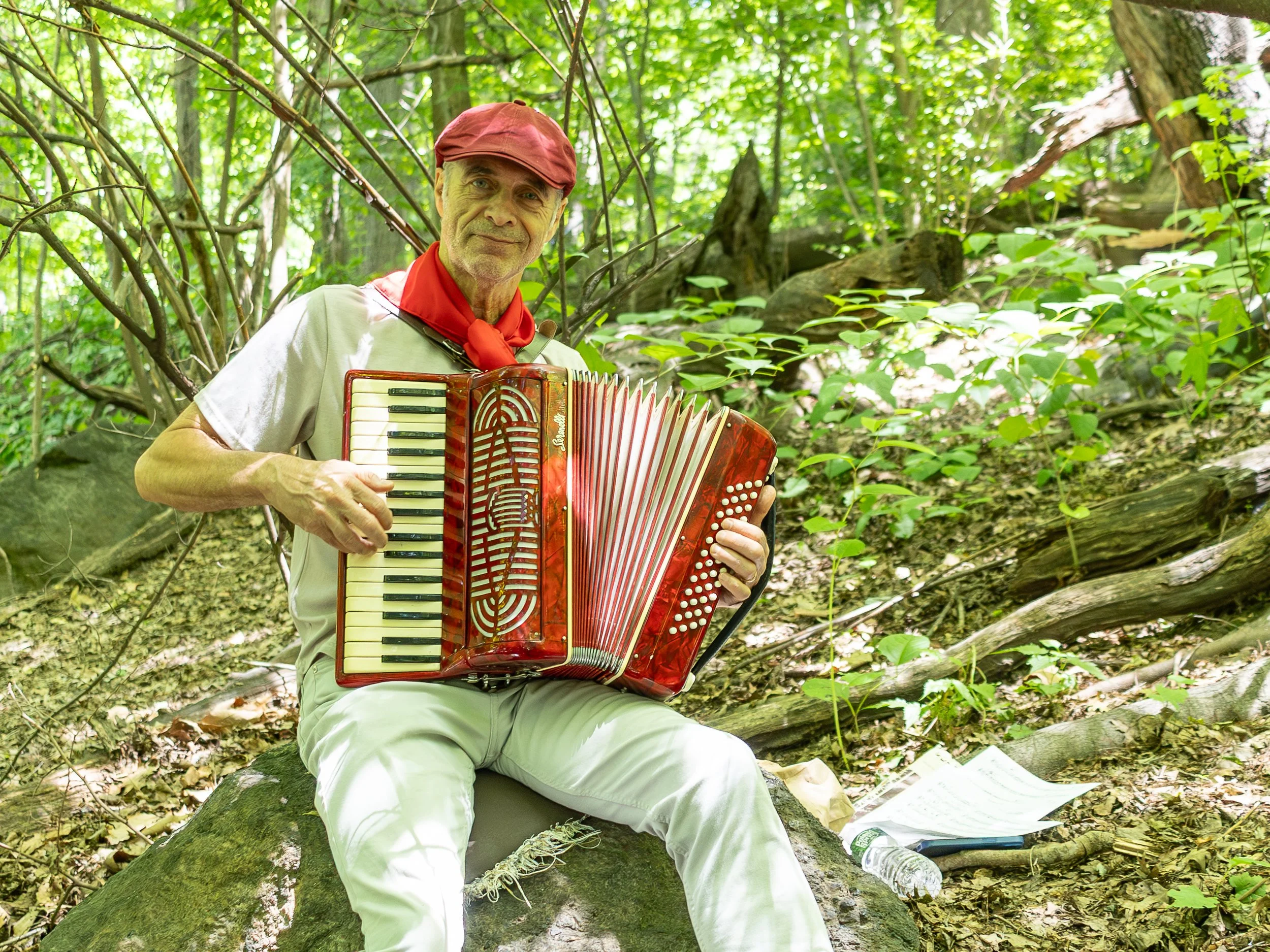 Accordion player in Central Park, NYC