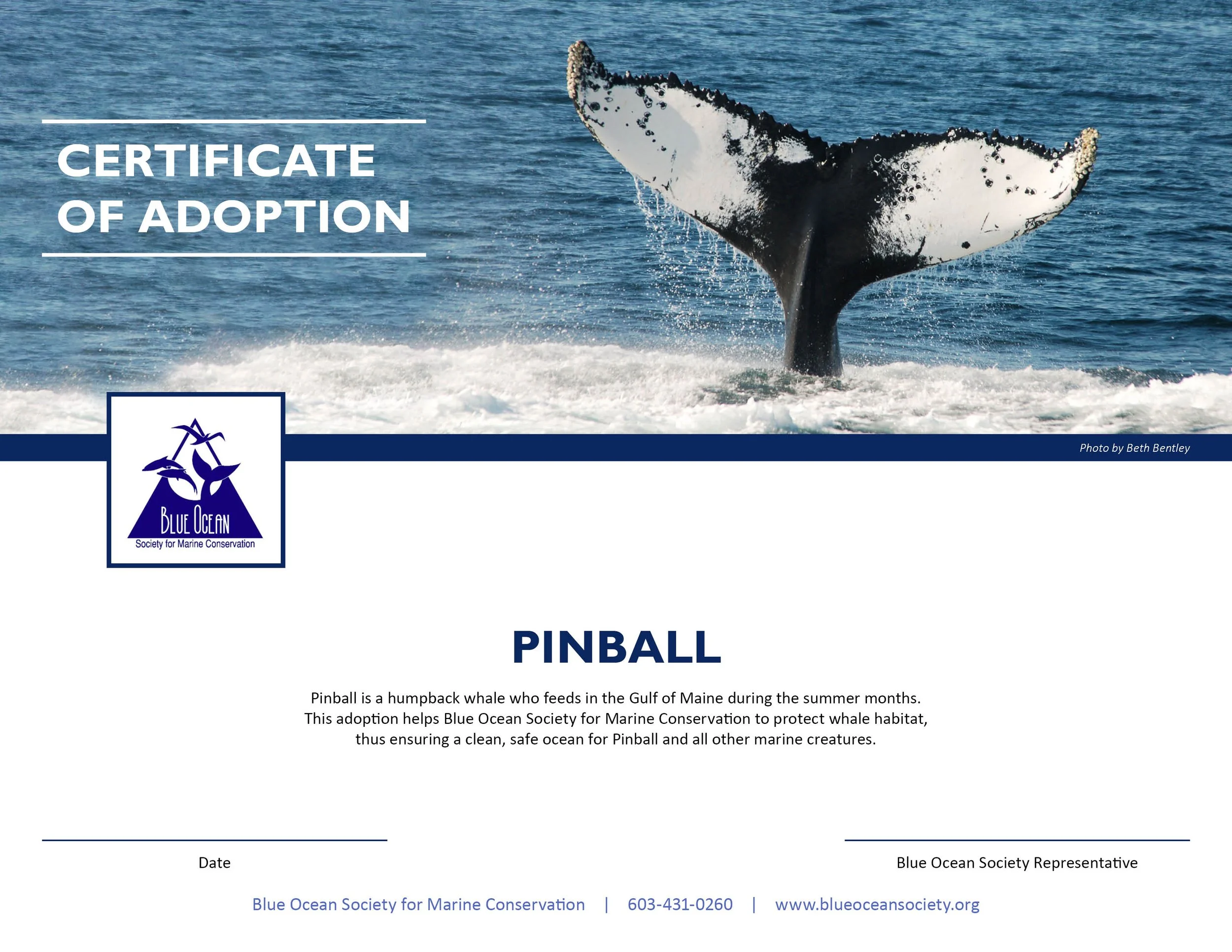 Digital-Adopt-Pinball3.jpg
