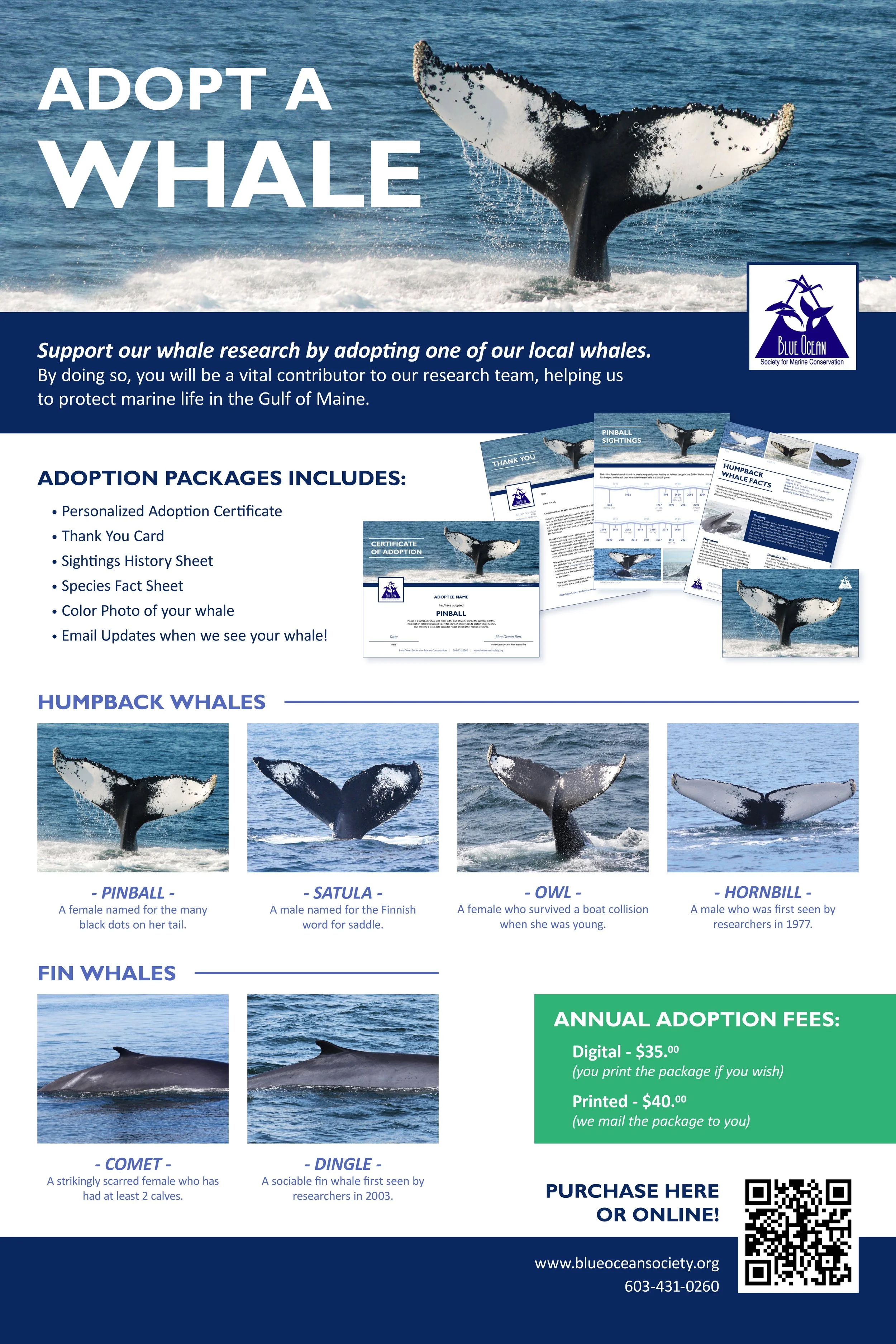Whale-Adoption-Poster-2022.jpg