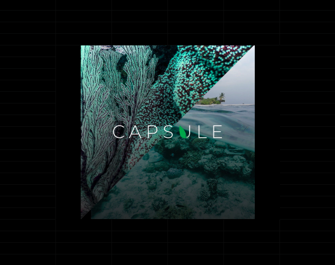Capsule Hackathon 2020 Logo