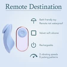 remote destination info.png