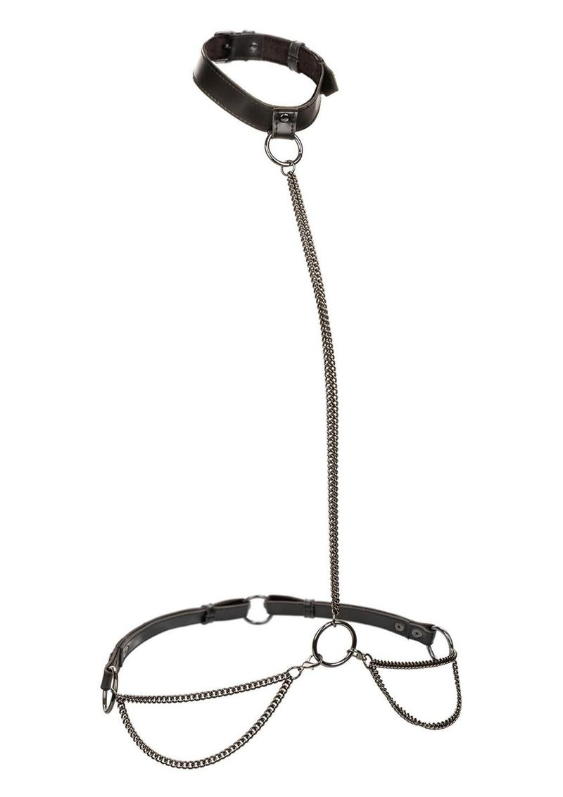 Euphoria Collection Chain Halter & Collar & Leash - Plus Size - Black 2.png